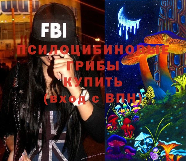 мет Дмитриев