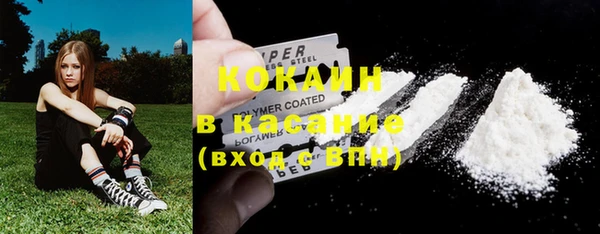 мет Дмитриев