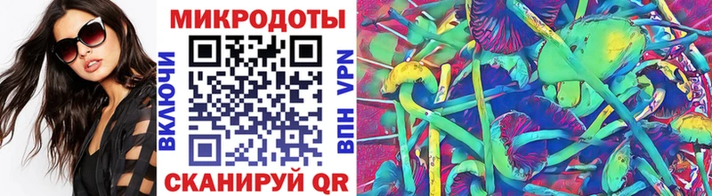 Галлюциногенные грибы мицелий  что такое   Артём 