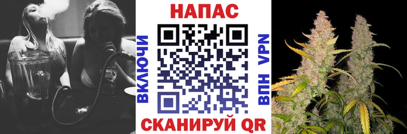 Конопля сатива  Артём 